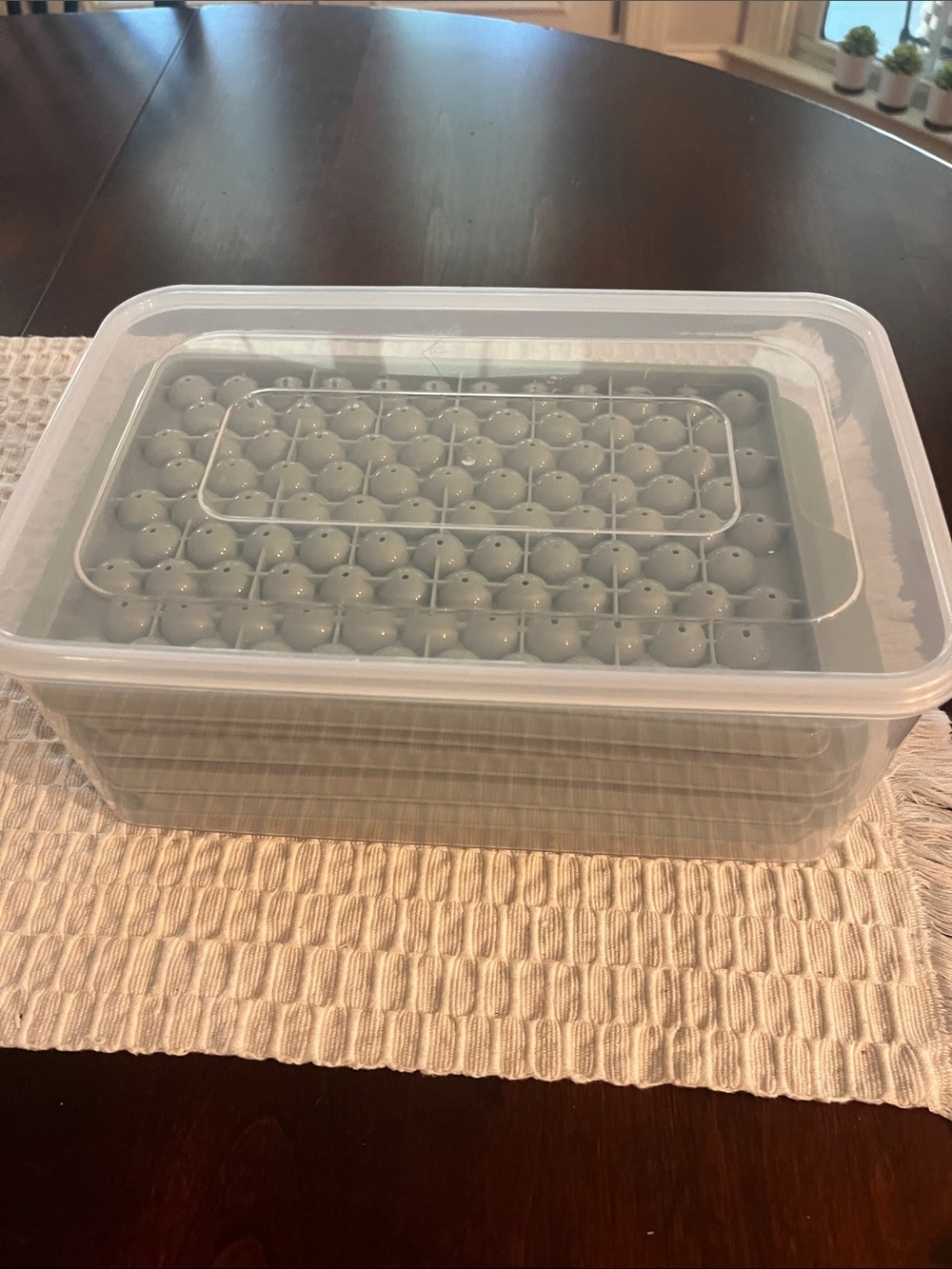4 mini ice cube molds in plastic storage container